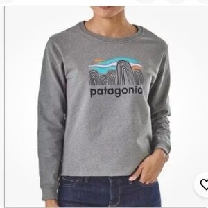 Patagonia Gray Sweatshirt with Blue and Orange Accents